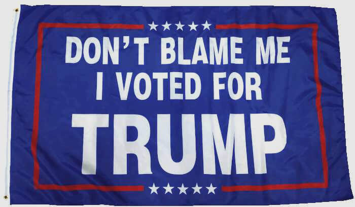 Free Trump Flag Don't Blame Me